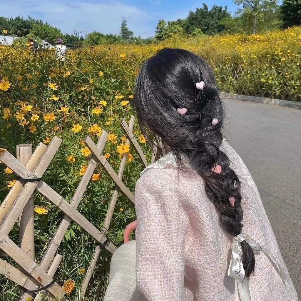 方案